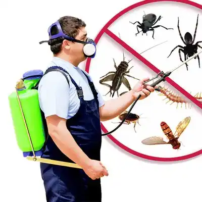 pest control Obetz